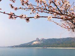 -颐和园