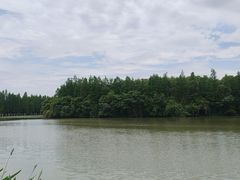 -艾溪湖湿地公园