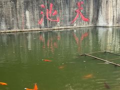 -千岛湖东南湖区