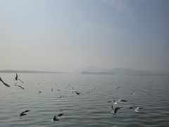 -蠡湖大桥公园