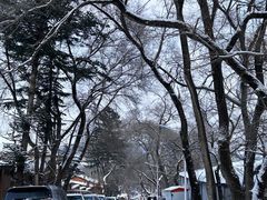 -北山公园