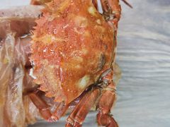 -海之味海鲜大咖·家常菜