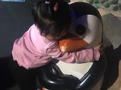 -锦艺城海洋馆
