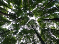 -山王坪喀斯特国家生态公园