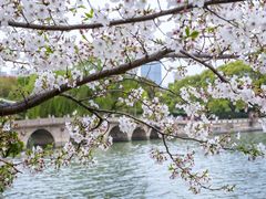 -苏州上方山国家森林公园