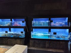 -徐记海鲜(汉城湖|太奥店)