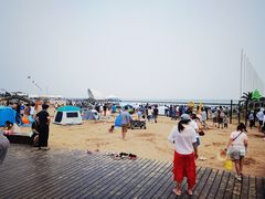 -碧海金沙