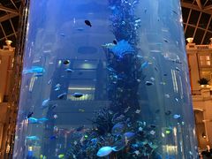 -歌帝梵(美高梅分店)