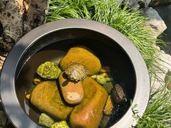 -蟹村草堂·苏式园林人文农家·大闸蟹