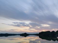 -贡湖湾湿地公园