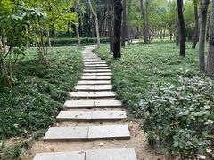 -郑州植物园