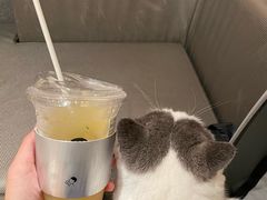 -喜茶(深圳喜荟城店)