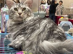 -仲盛世界商城