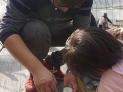 -前小桔亲子创意农场·草莓采摘·露营烧烤