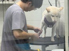 -达爱动物医院·犬猫分区·CT·复杂眼科(远洋山水分院)