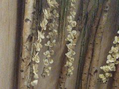 -益健·足疗汗蒸SPA(芙蓉广场店)
