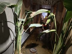 -邈墨茶馆(凤起路店)