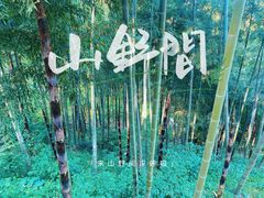 -莫干山风景区