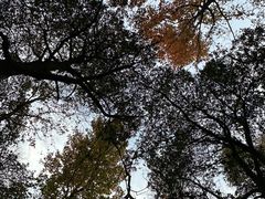 -杭州半山国家森林公园