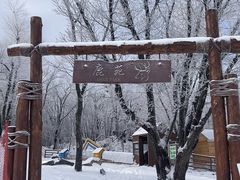-中旅松花湖滑雪场