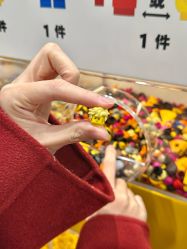 -乐高品牌旗舰店(人民广场店)
