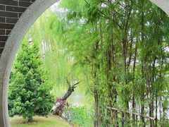 -映月湖公园
