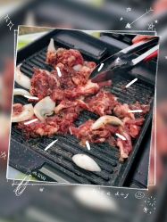 -268童话露营农场·烧烤·团建
