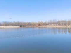 -东郊湿地公园