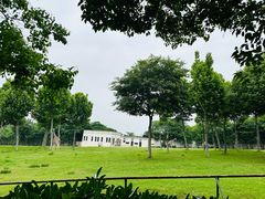 -合肥野生动物园