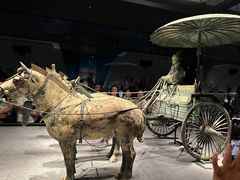 -秦始皇帝陵博物院(兵马俑)