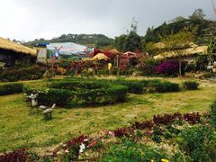 -优游吧斯邹族文化部落