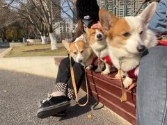 -西北湖绿化广场