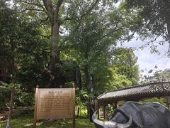 -广州神农草堂中医药博物馆