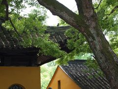 -西园戒幢律寺