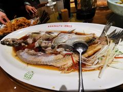 -丹江渔村(望京店)