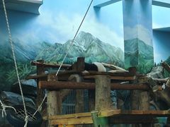 -武汉动物园