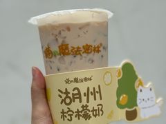 -猫的魔法密林(衣裳街店)