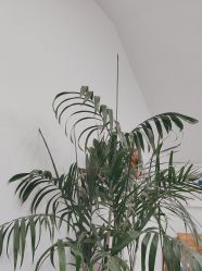 -爱秀造型 T-G