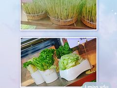 -串一火锅(赛格国际购物中心店)