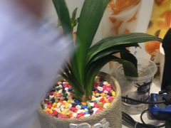 -艾薯夫妇Aysh(福田星河COCOPark店)
