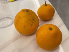 -双福水果批发市场