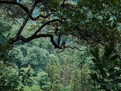 -青城山