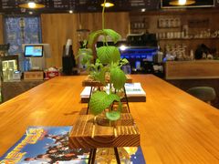 -ZING COFFEE 镜咖啡