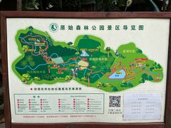 -西双版纳原始森林公园
