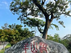 -羊山湖公园
