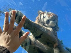 -西霞口神雕山野生动物世界