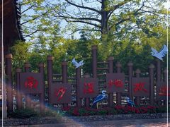 -大湾区中央湿地公园