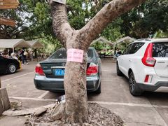 -南宁良凤江国家森林公园