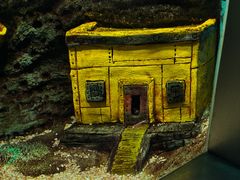 -合肥海洋世界