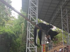 -清迈夜间动物园